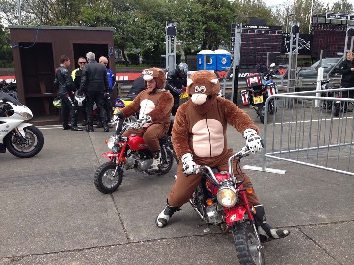 Two oversized chimps horsing around on monkey bikes.