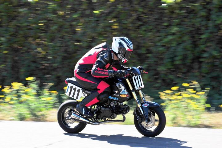 Despite her handling woes, at least our Grom was speedy in a straight line. For a Grom anyway.