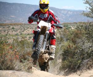 The TXC310 is all-new for 2012, boasting a noticeable increase in power over the mechanically similar TXC250. 
