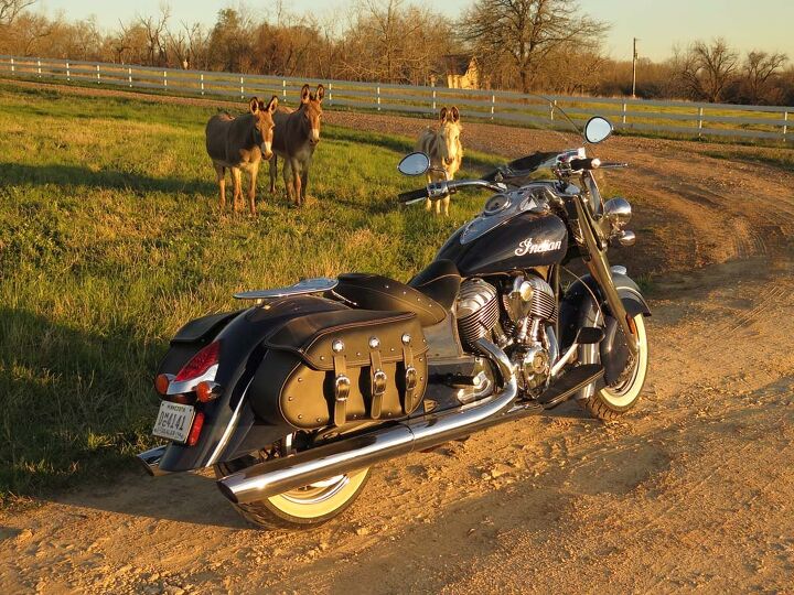 2014 Indian Chief Classic mules