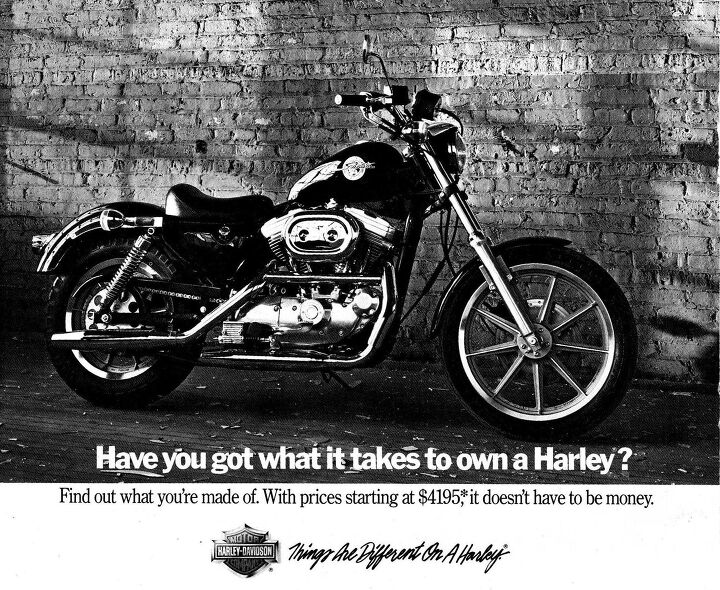 Harley Davidson Leather Fuel Tank Panel Nasty Biker Devil Girl Softail Custom