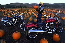 We'll leave his sexual preferences alone at this time, though we will tell you that, through no fault of Yamaha or their Warrior, Calvin was seen riding a pumpkin at one point.