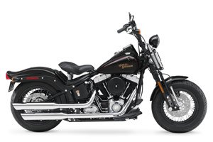 The Harley-Davidson Cross Bones features a black springer fork, rims and engine assembly.