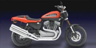 2009 Harley-Davidson Sportster® XR1200