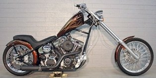 2010 Saxon Motorcycle Whip 