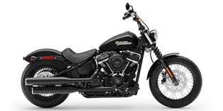 2019 Harley-Davidson Softail® Street Bob