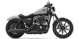 2020 Harley-Davidson Sportster® Iron 883