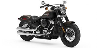 2021 Harley-Davidson Softail® Slim