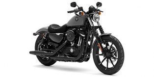 2022 Harley-Davidson Sportster® Iron 883